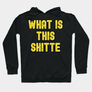 WHAT IS THIS SHITTE FUNNY HUMOROUS SARCASM Hoodie